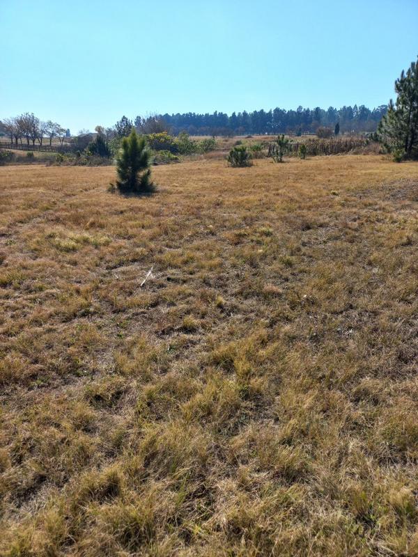 2 Bedroom Property for Sale in Rietfontein Gauteng