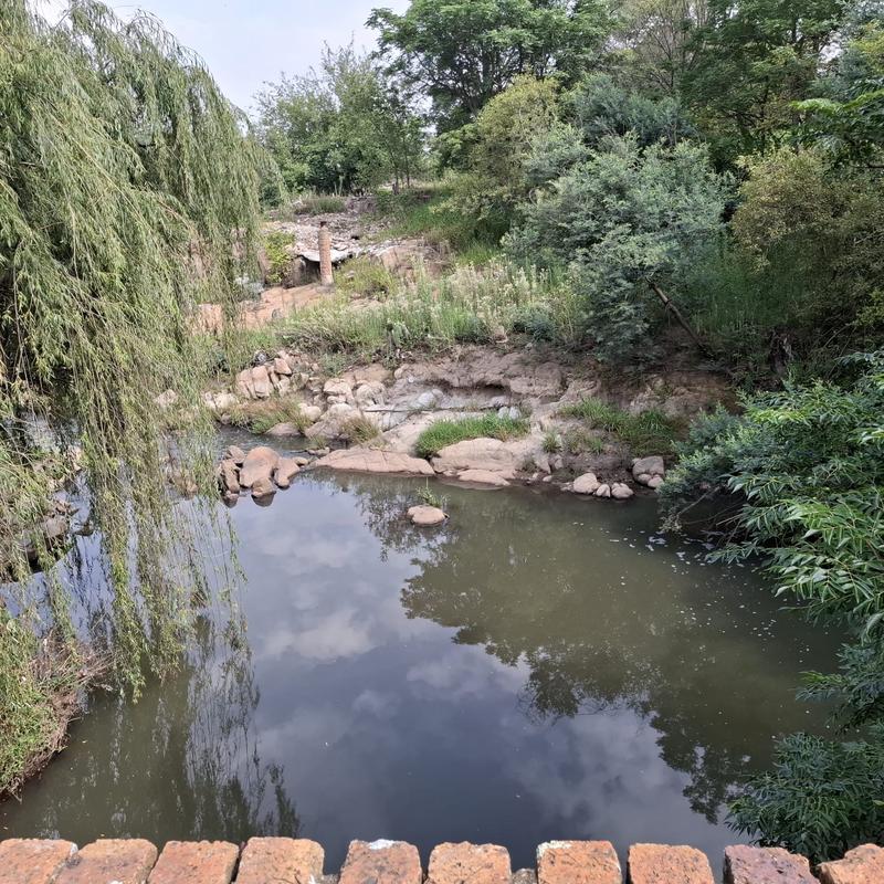 0 Bedroom Property for Sale in Rietfontein Gauteng