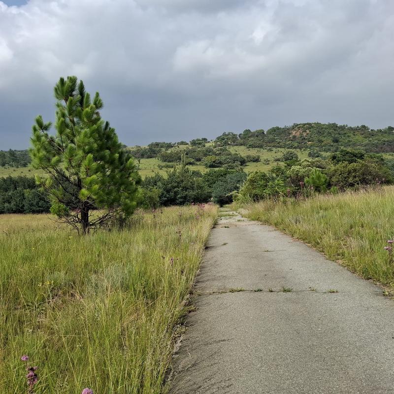 0 Bedroom Property for Sale in Rietfontein Gauteng