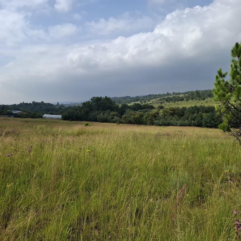 0 Bedroom Property for Sale in Rietfontein Gauteng