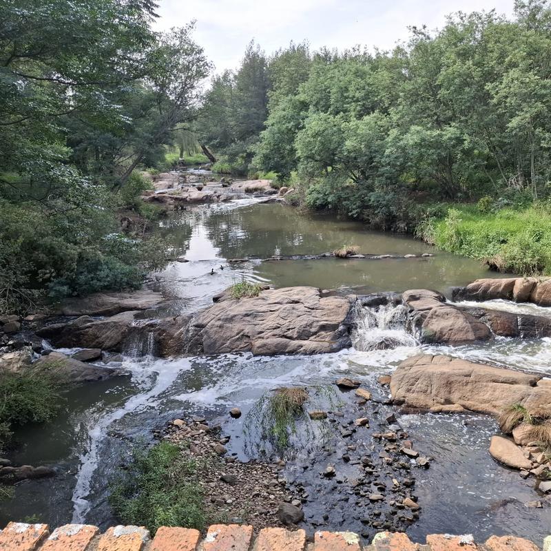 0 Bedroom Property for Sale in Rietfontein Gauteng