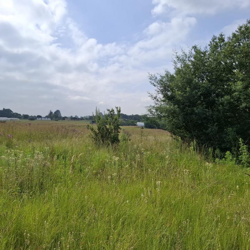 0 Bedroom Property for Sale in Rietfontein Gauteng