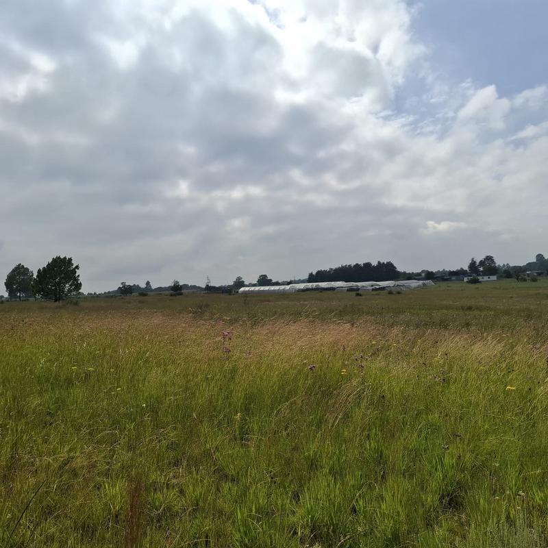 0 Bedroom Property for Sale in Rietfontein Gauteng