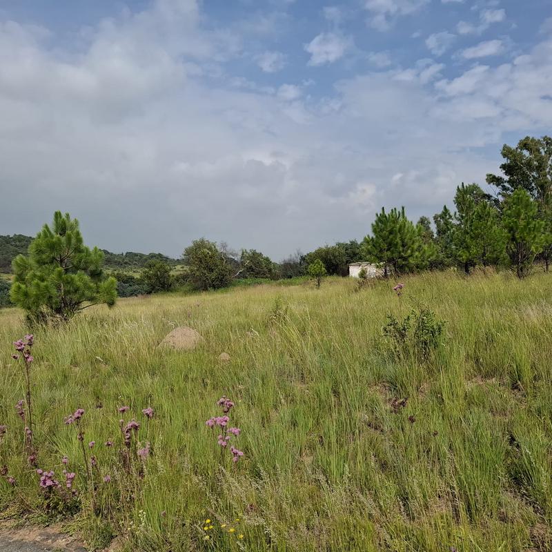 0 Bedroom Property for Sale in Rietfontein Gauteng