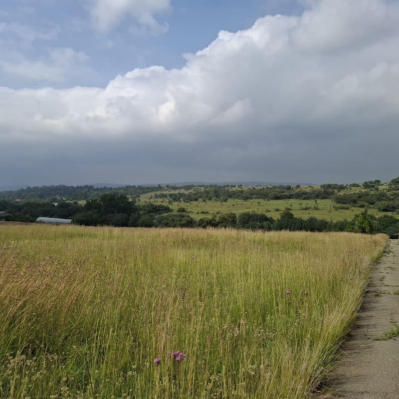 0 Bedroom Property for Sale in Rietfontein Gauteng