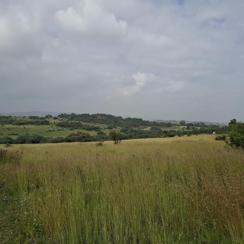 0 Bedroom Property for Sale in Rietfontein Gauteng