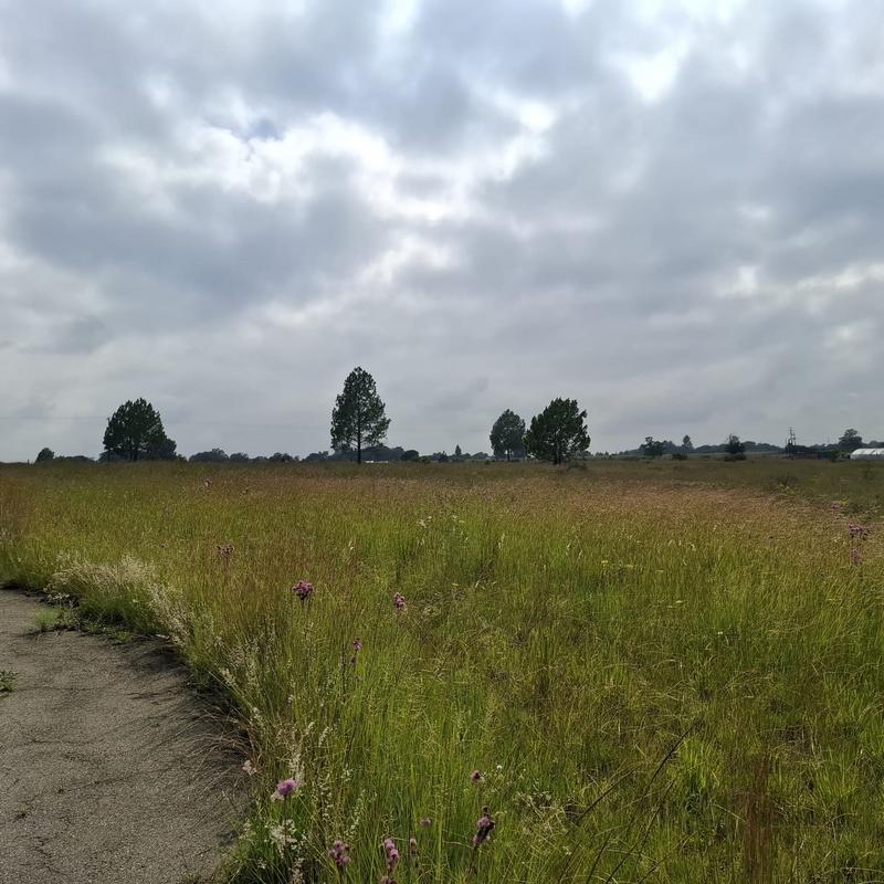 0 Bedroom Property for Sale in Rietfontein Gauteng