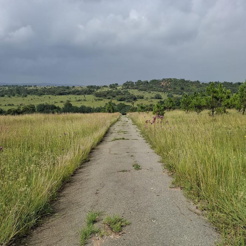 0 Bedroom Property for Sale in Rietfontein Gauteng