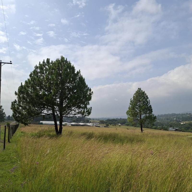 0 Bedroom Property for Sale in Rietfontein Gauteng