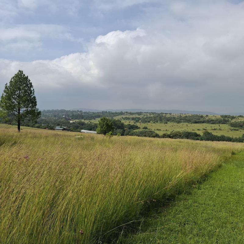 0 Bedroom Property for Sale in Rietfontein Gauteng