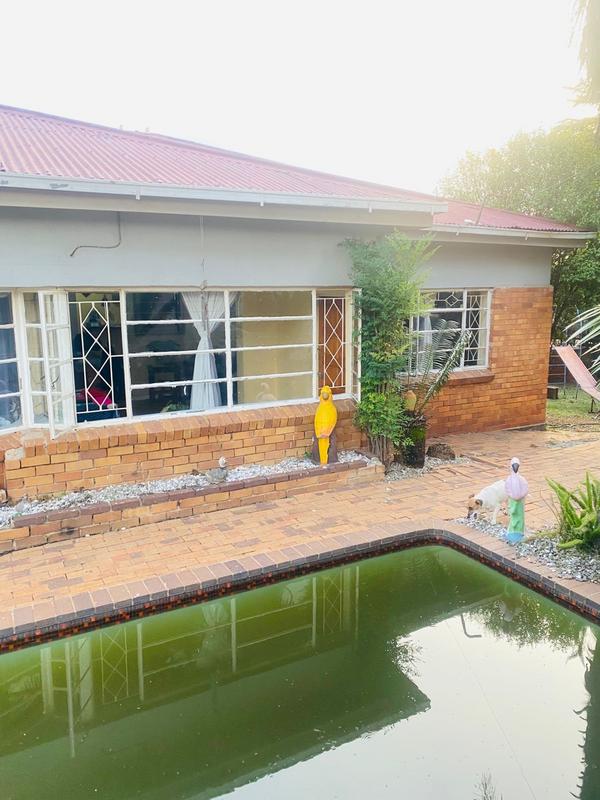 To Let 3 Bedroom Property for Rent in Primrose Hill Gauteng