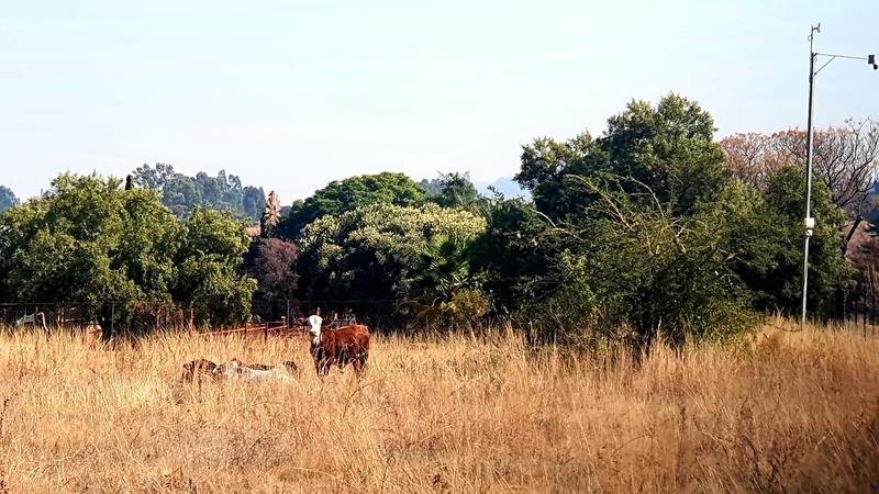 10 Bedroom Property for Sale in Andeon AH Gauteng