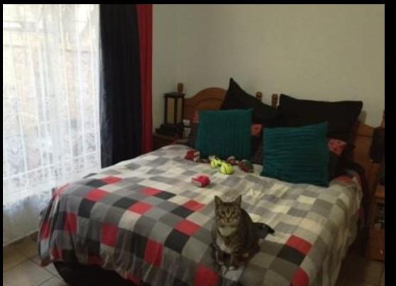 To Let 1 Bedroom Property for Rent in Primrose Gauteng