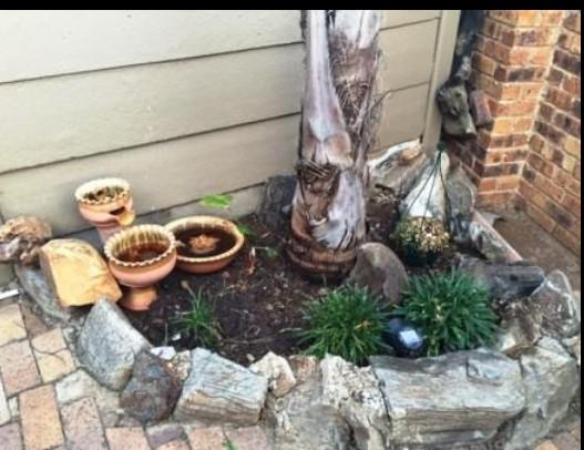 To Let 1 Bedroom Property for Rent in Primrose Gauteng