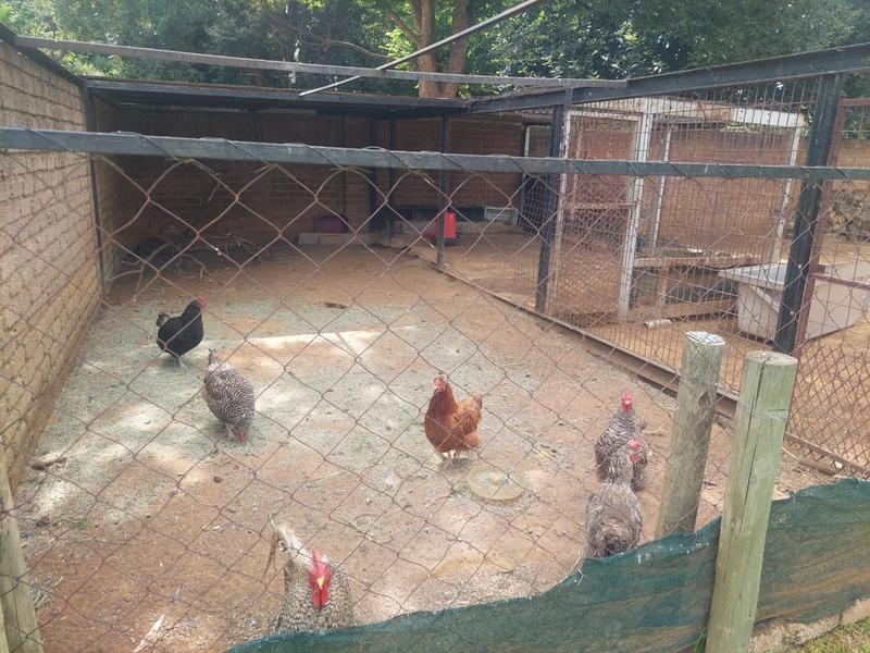 4 Bedroom Property for Sale in Loumarina A H Gauteng