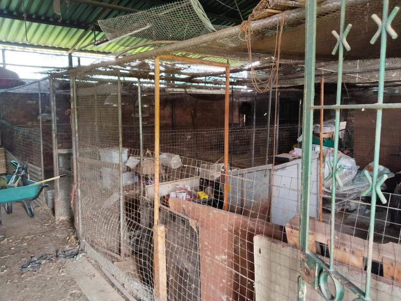 5 Bedroom Property for Sale in Nigel Gauteng