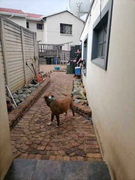 To Let 1 Bedroom Property for Rent in Northmead Gauteng