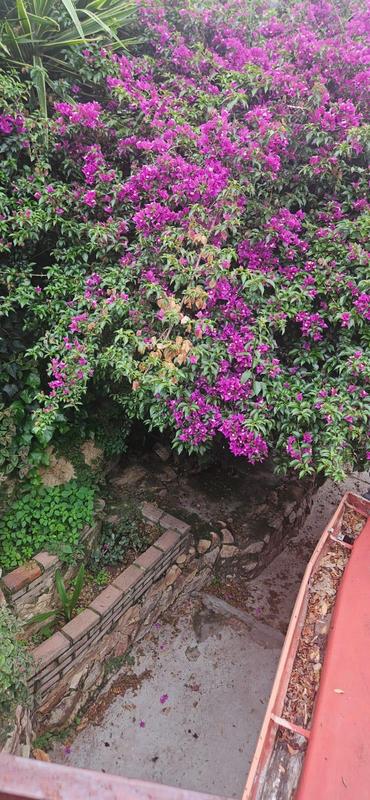 3 Bedroom Property for Sale in Kensington Gauteng