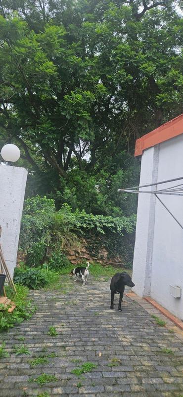 3 Bedroom Property for Sale in Kensington Gauteng