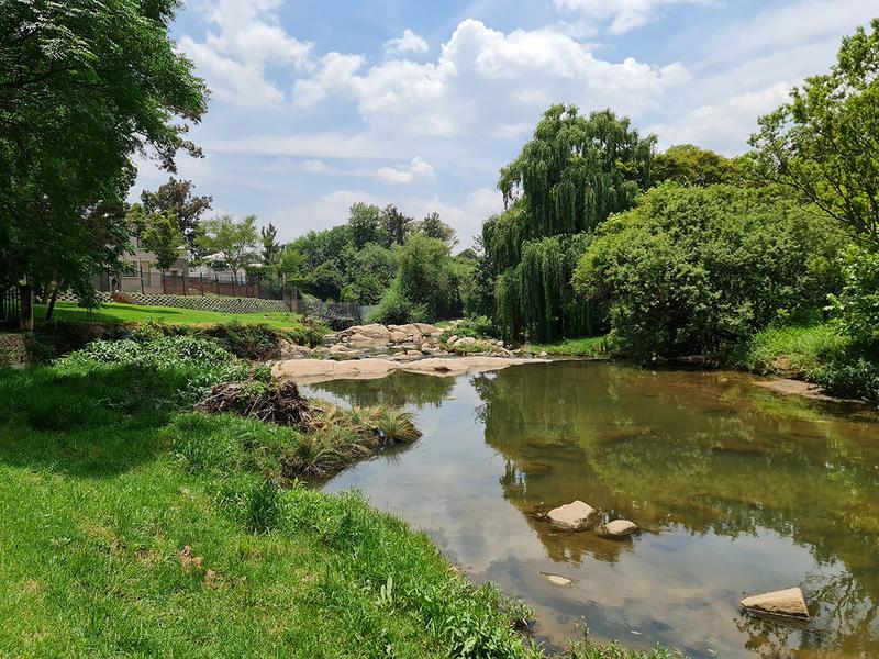 To Let 5 Bedroom Property for Rent in Edenburg Gauteng