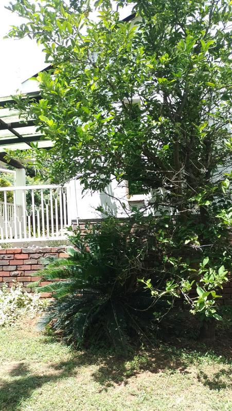 3 Bedroom Property for Sale in Eersterust Gauteng