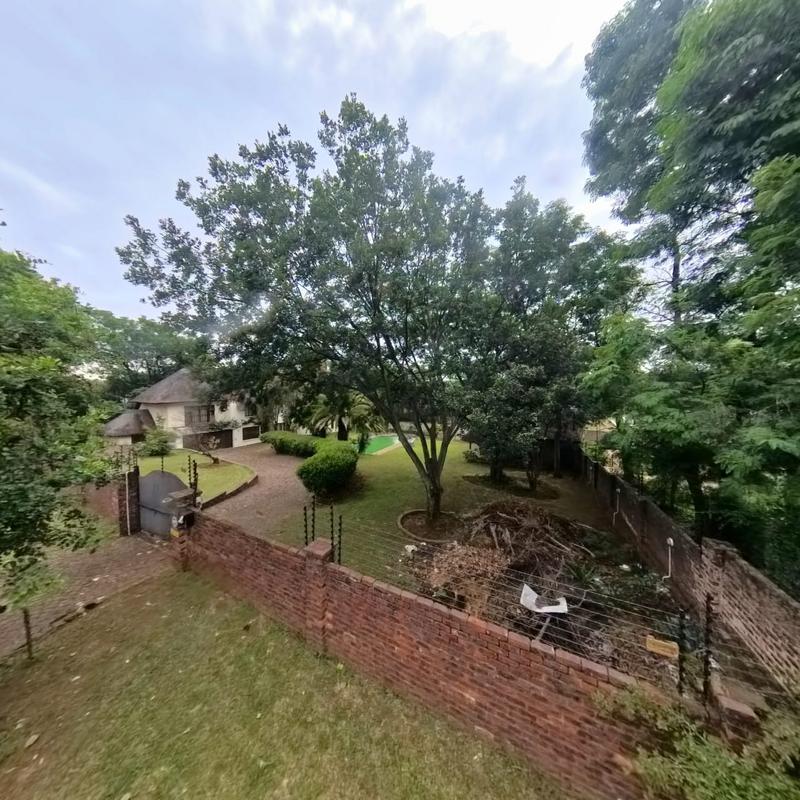 To Let 5 Bedroom Property for Rent in Buccleuch Gauteng