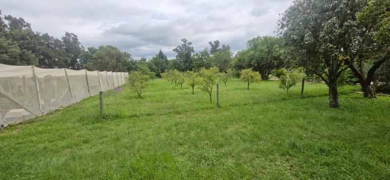 6 Bedroom Property for Sale in Mnandi Gauteng