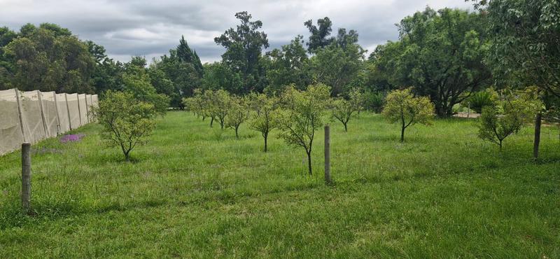 6 Bedroom Property for Sale in Mnandi Gauteng