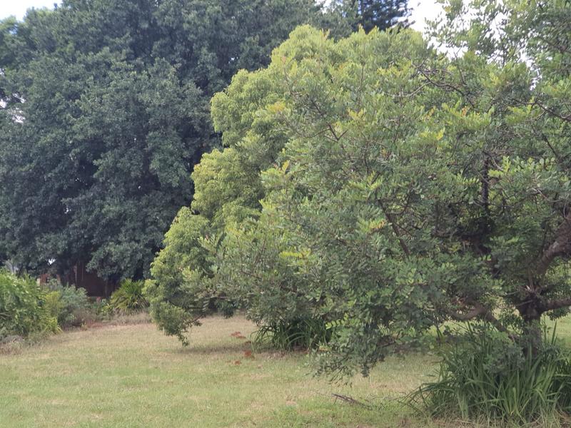 4 Bedroom Property for Sale in Pretoria Gauteng