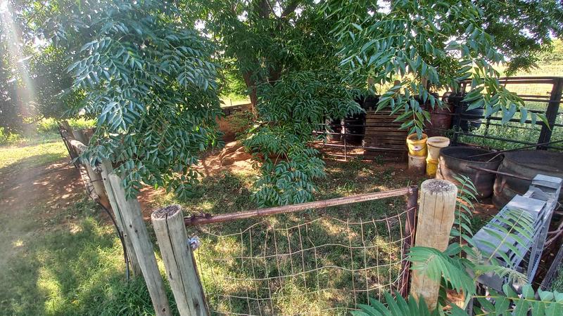 4 Bedroom Property for Sale in Vereeniging Gauteng