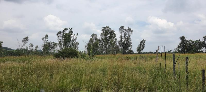 7 Bedroom Property for Sale in Lusthof Gauteng