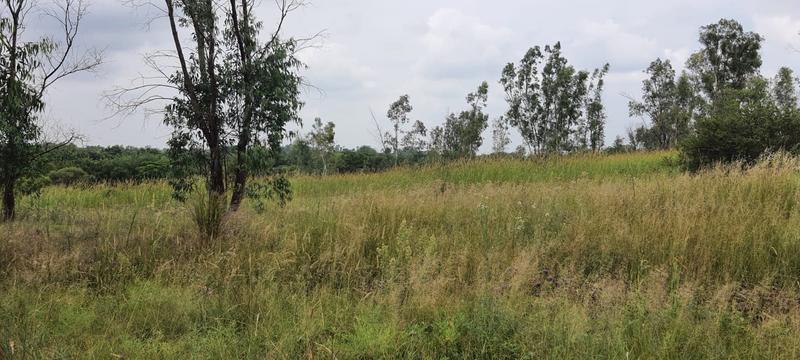 7 Bedroom Property for Sale in Lusthof Gauteng