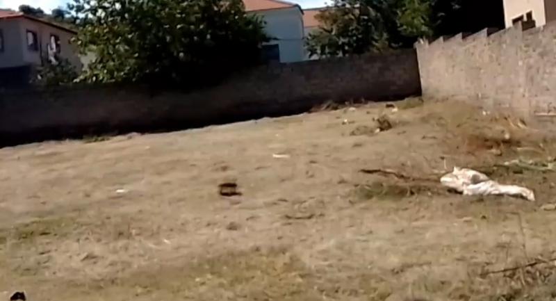 0 Bedroom Property for Sale in Liefde en Vrede Gauteng