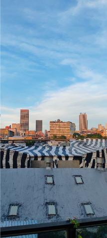 To Let 1 Bedroom Property for Rent in Maboneng Gauteng