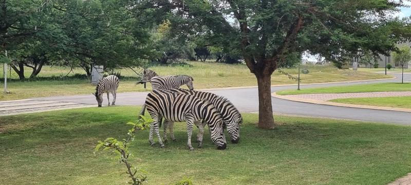 5 Bedroom Property for Sale in Waterlake Farm Lifestyle Estate Gauteng