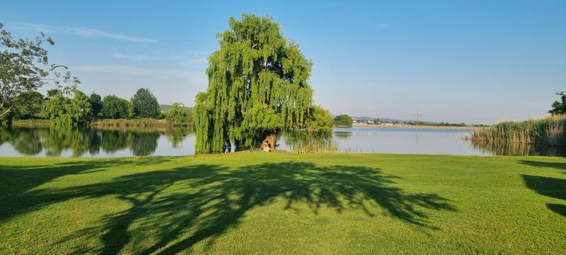 5 Bedroom Property for Sale in Waterlake Farm Lifestyle Estate Gauteng