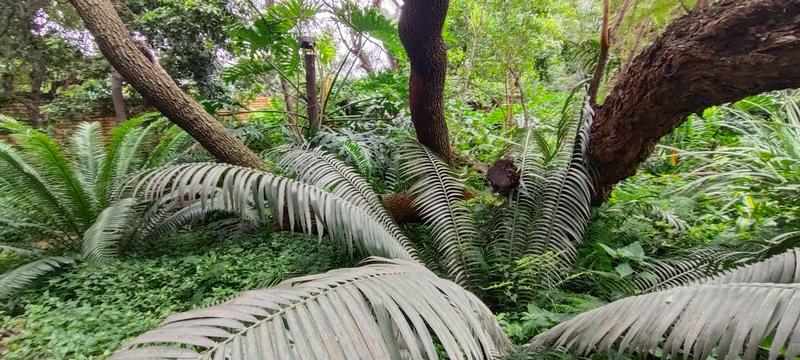 4 Bedroom Property for Sale in Amandasig Gauteng