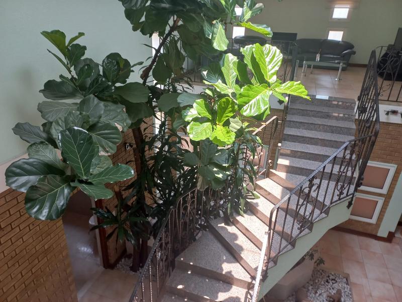 5 Bedroom Property for Sale in Sunward Park Gauteng