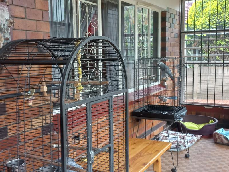 3 Bedroom Property for Sale in Comet Gauteng