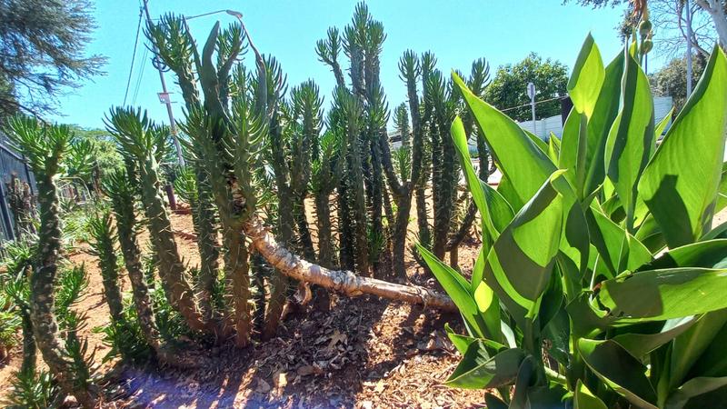 3 Bedroom Property for Sale in Daspoort Gauteng