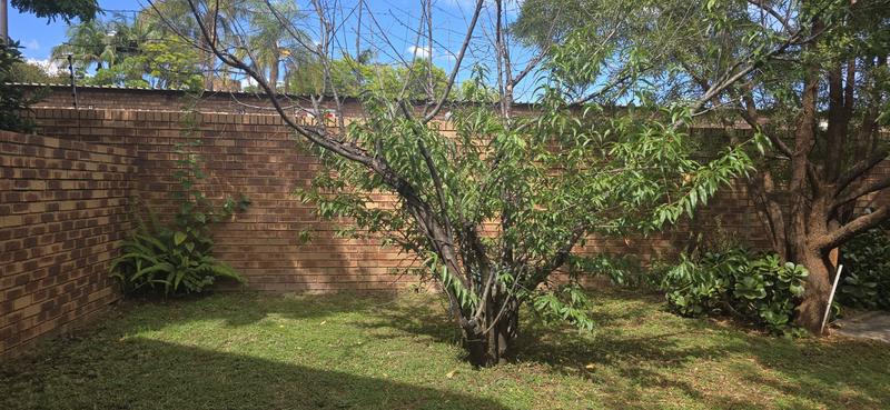 To Let 3 Bedroom Property for Rent in Equestria Gauteng