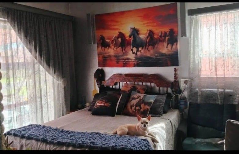 3 Bedroom Property for Sale in Vanderbijlpark Gauteng