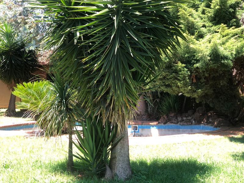 4 Bedroom Property for Sale in Allens Nek Gauteng