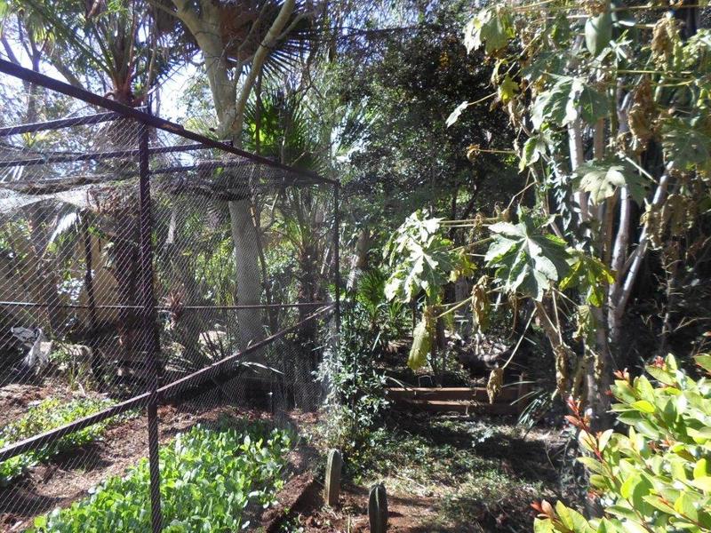 3 Bedroom Property for Sale in Lyndhurst Gauteng