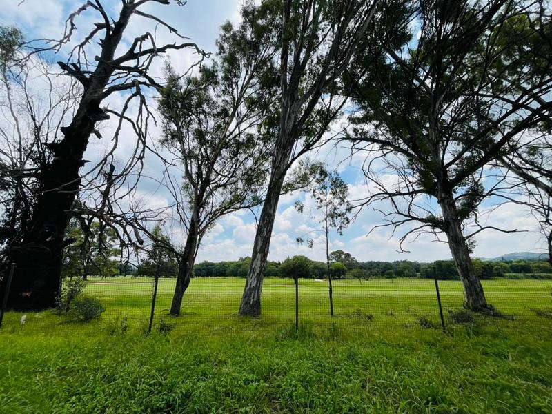 4 Bedroom Property for Sale in Mayfield Gauteng