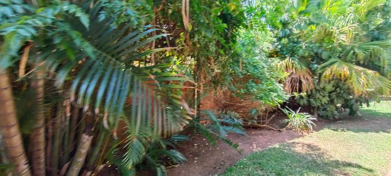 3 Bedroom Property for Sale in Theresa Park Gauteng