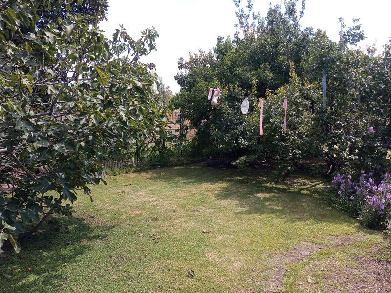 3 Bedroom Property for Sale in Pollak Park Gauteng