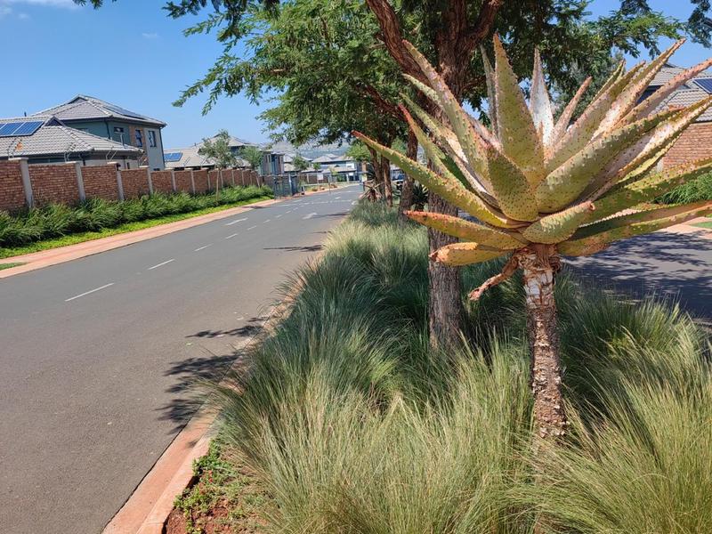 4 Bedroom Property for Sale in Lotus Gardens Gauteng