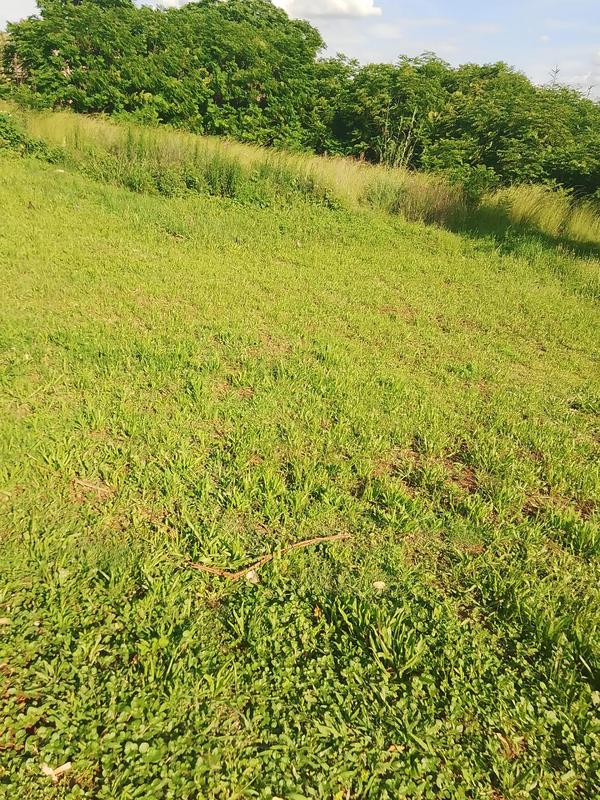 0 Bedroom Property for Sale in Lady Selborne Gauteng