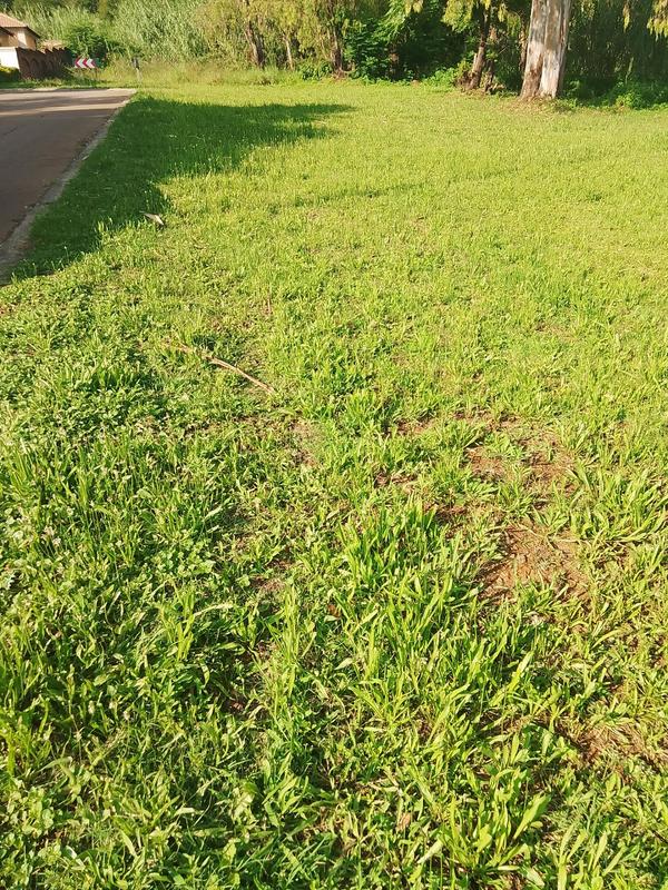 0 Bedroom Property for Sale in Lady Selborne Gauteng